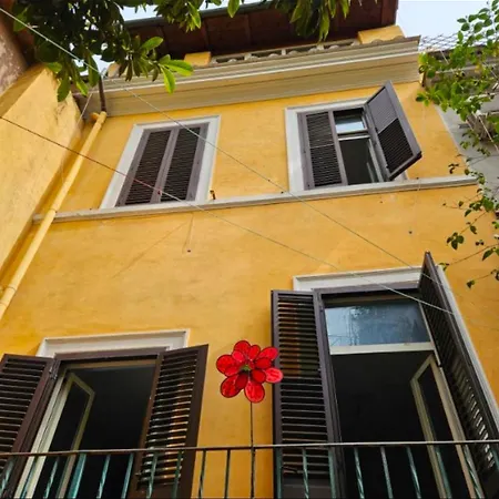 Apartamento - 1 Piano Nel 